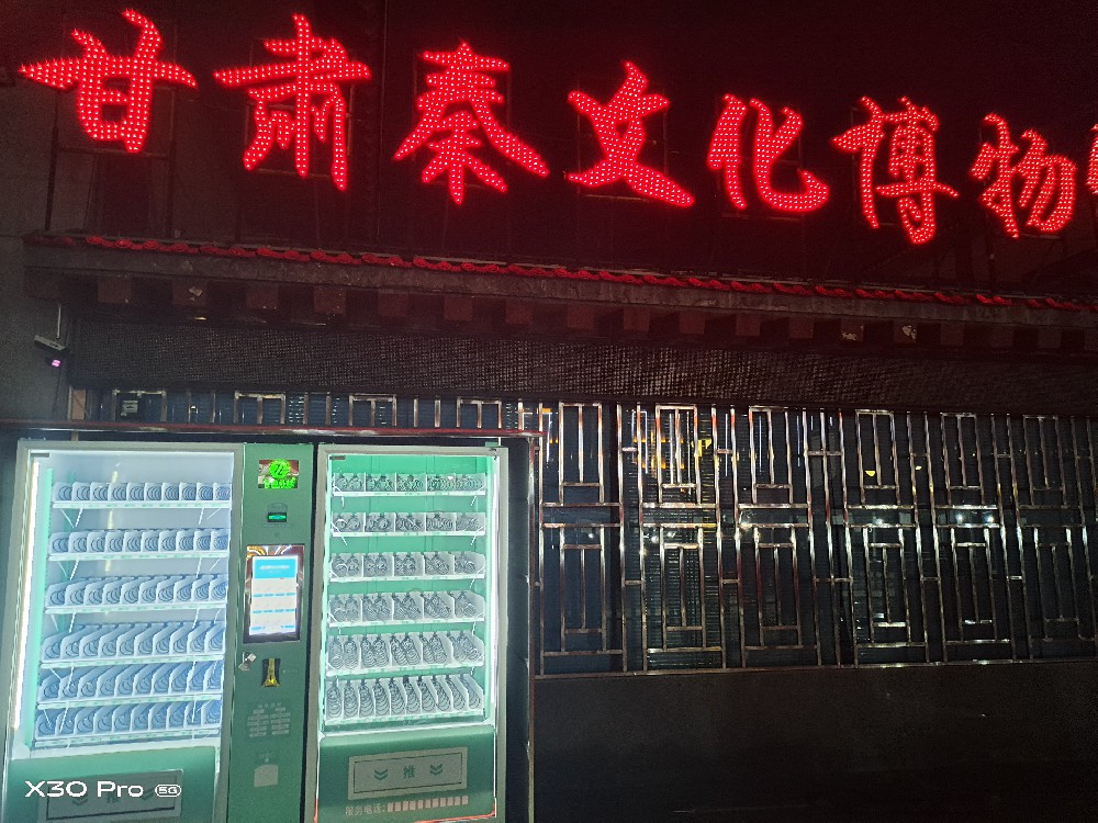 甘肃秦文化博物馆客户摆放案例